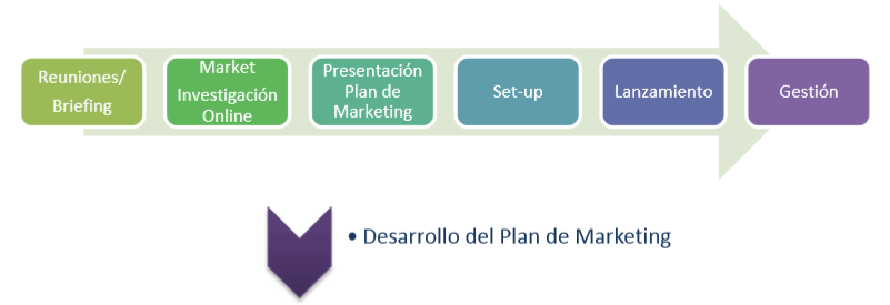 Fases Plan de Marketing